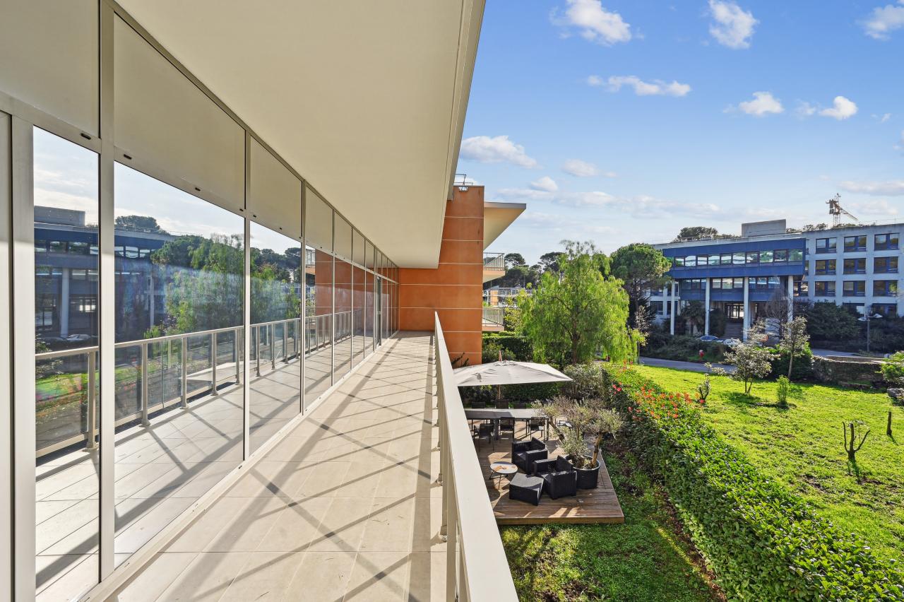Bureau Sophia Antipolis 997m² Location bureau Sophia Antipolis Alpes-Maritimes OLBUR2308125 11